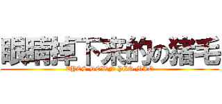 眼睛掉下来的の猪毛 (EYES DOWN PIG MAO)
