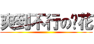 爽到不行の憨花 ()