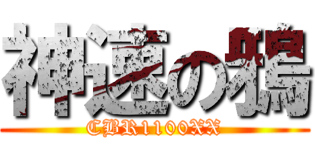 神速の鴉 (CBR1100XX)