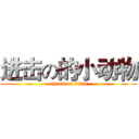 进击の的小动物 (attack on titan)