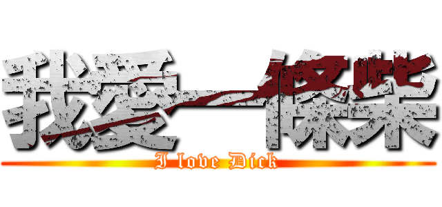 我愛一條柴 (I love Dick)