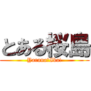 とある桜島 (Yarana☆Ika!)