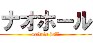 ナオホール (seita's holl)