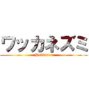 ワッカネズミ (Pokémon)