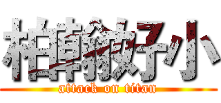 柏翰好小 (attack on titan)