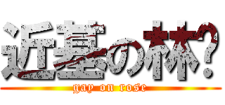 近基の林胜 (gay on rose)