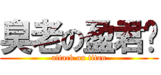 臭老の盈君姊 (attack on titan)
