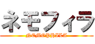 ネモフィラ (NEMOPHILA)