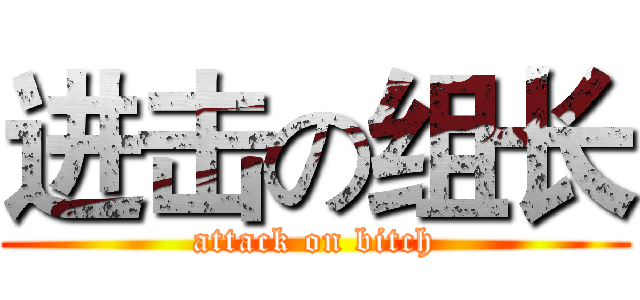 进击の组长 (attack on bitch)
