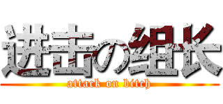 进击の组长 (attack on bitch)
