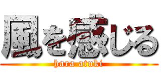 風を感じる (hara atuki)