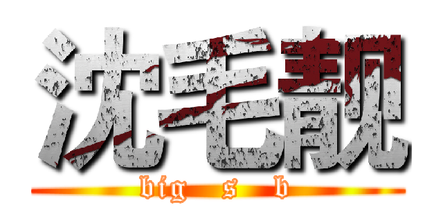 沈毛靓 (big   s   b)