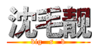 沈毛靓 (big   s   b)