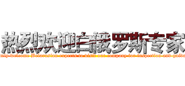 热烈欢迎白俄罗斯专家 (Warmly welcome Belarusian experts to visit our company for inspection and guidance)