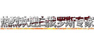热烈欢迎白俄罗斯专家 (Warmly welcome Belarusian experts to visit our company for inspection and guidance)