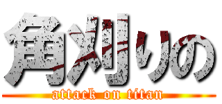 角刈りの (attack on titan)