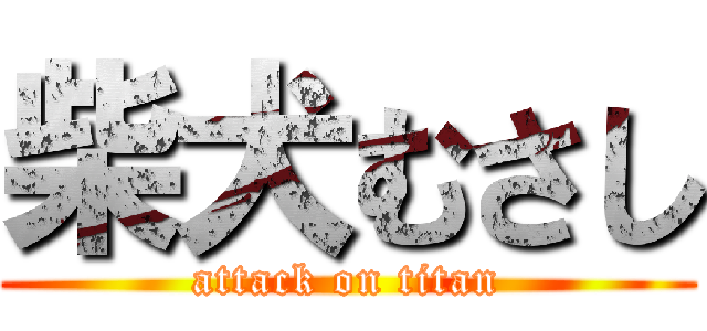 柴犬むさし (attack on titan)