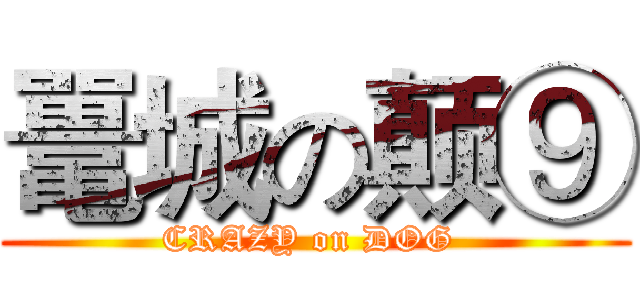 鼍城の颠⑨ (CRAZY on DOG )