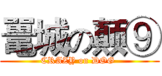 鼍城の颠⑨ (CRAZY on DOG )