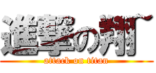 進撃の翔~ (attack on titan)