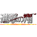 進撃の翔~ (attack on titan)