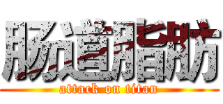 肠道脂肪 (attack on titan)