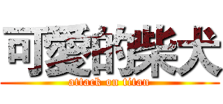 可愛的柴犬 (attack on titan)