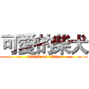 可愛的柴犬 (attack on titan)