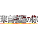 來自陰莖の你 (attack on titan)