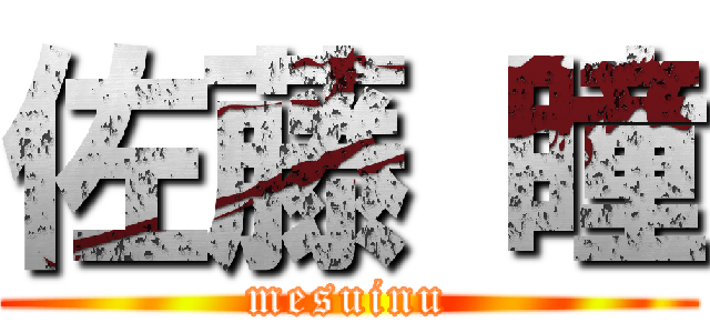 佐藤 瞳 (mesuinu)