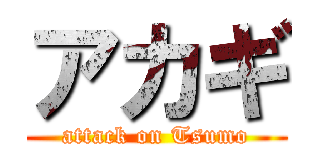 アカギ (attack on Tsumo)