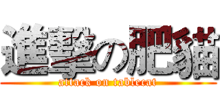 進擊の肥貓 (attack on tablecat)