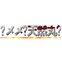 🌸メメ💉天然丸🌸 (メメ 天然丸)