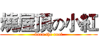 燒屋頂の小紅 (burn the roof)