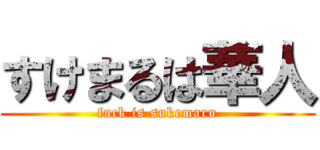 すけまるは華人 (fuck is sukemaru)