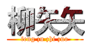 柳矢矢 (feng zu zhi zuo)