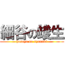 細谷の竣生 (hosoya no syunnki)