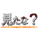 見たな？ (Look at my Smartphone)