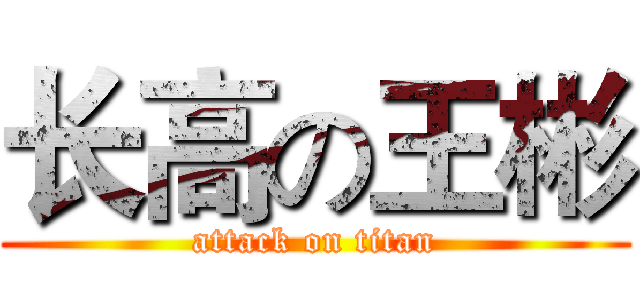 长高の王彬 (attack on titan)