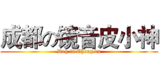 成都の镜音皮小神 (Dog in Cheng du)