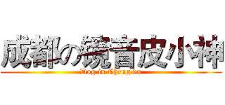 成都の镜音皮小神 (Dog in Cheng du)