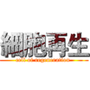 細胞再生 (cell of regeneration )