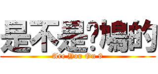 是不是戆鳩的 (Are You On 9)