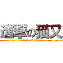 進撃の猫又 (attack on titan)