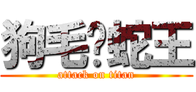 狗毛烤蛇王 (attack on titan)