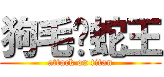 狗毛烤蛇王 (attack on titan)