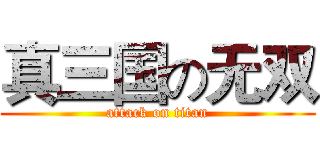 真三国の无双 (attack on titan)