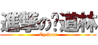 進撃の风道林 (Cyclone)