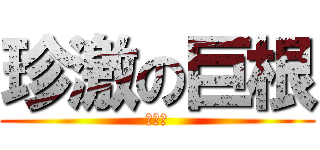 珍激の巨根 (でかい)