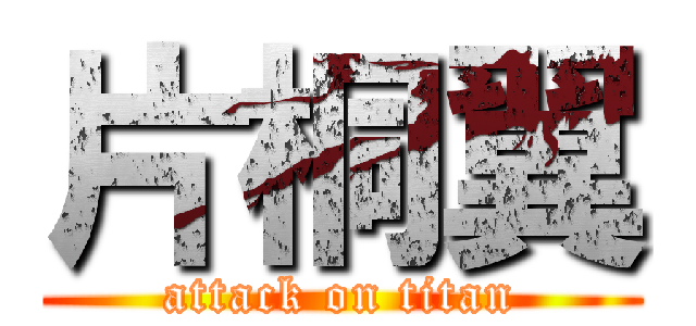 片桐翼 (attack on titan)